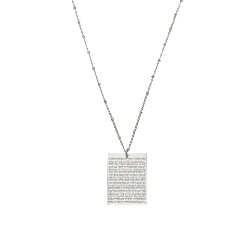 Collier médaille plaque hugo 1